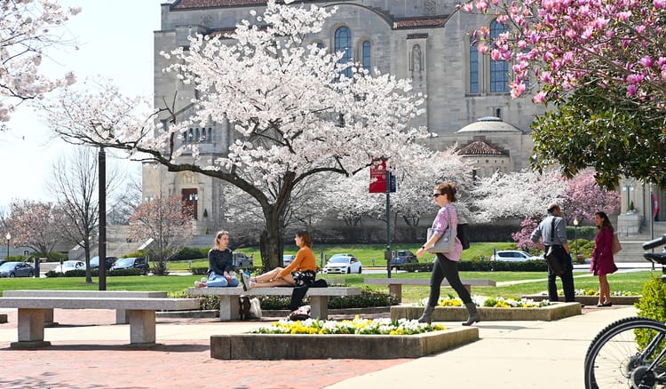 Students on campus at The Catholic University of America